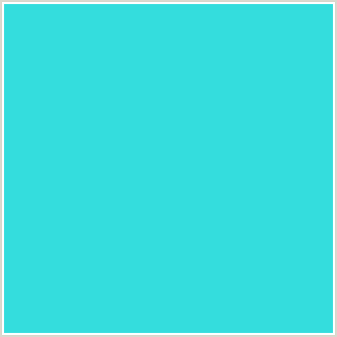 TURQUOISE SPU-42 REGULAR VINYL 12*19.5