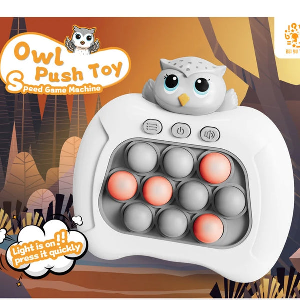 Owl Push Toy